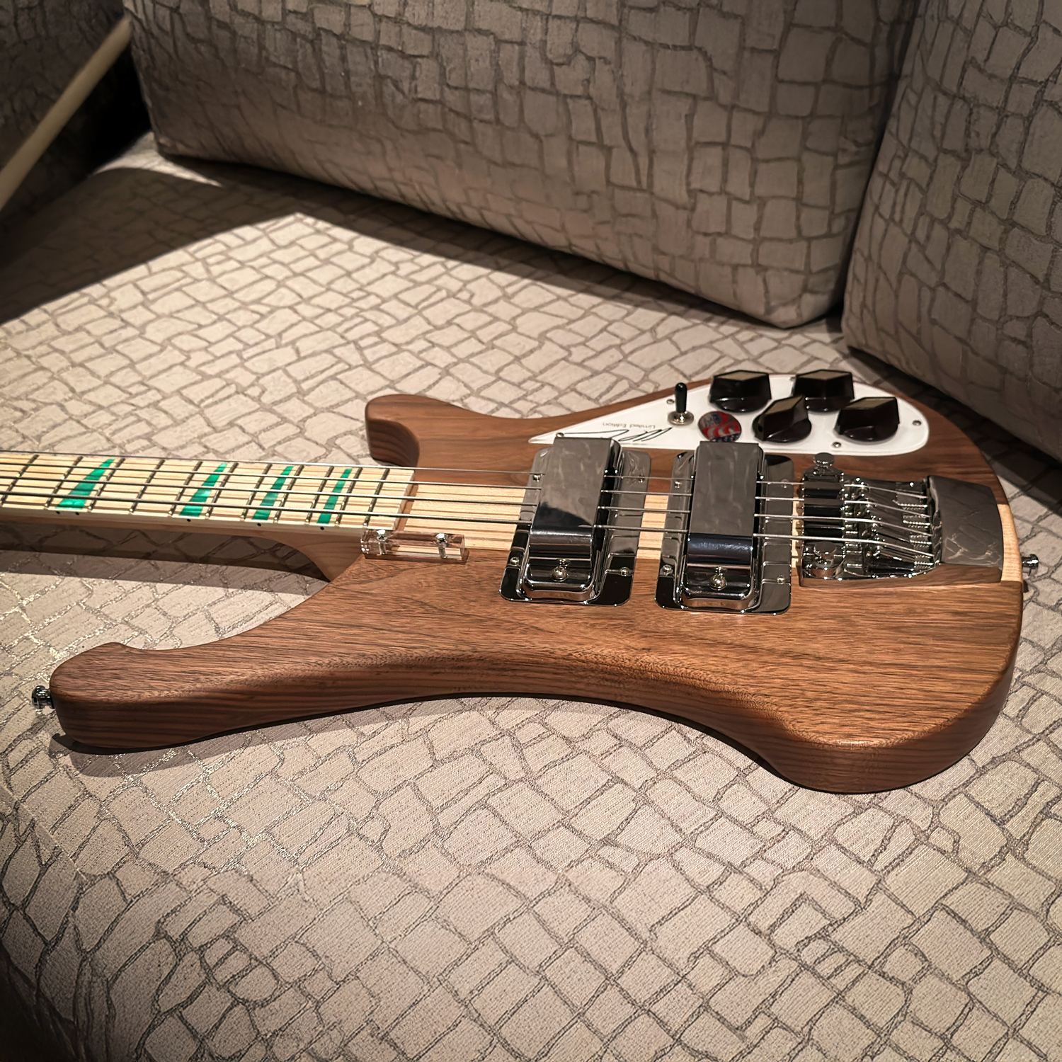 2019 Rickenbacker 4003 AC side