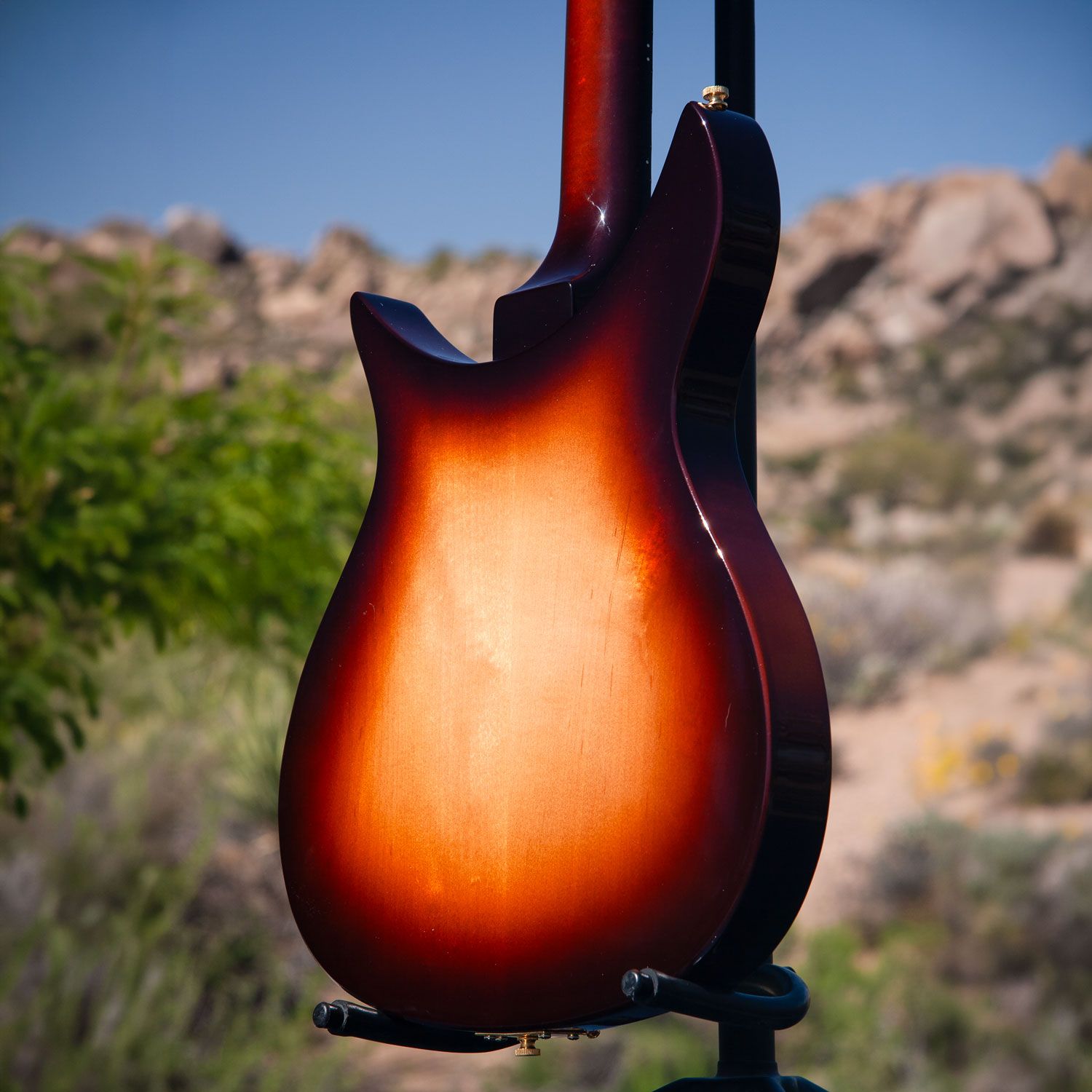 2004 Rickenbacker 350V63 body back