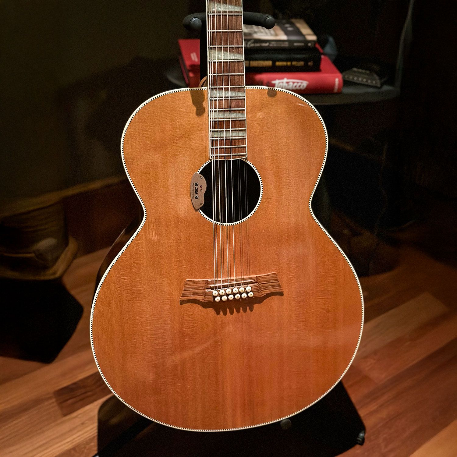 1999 Rickenbacker 700S/12 body