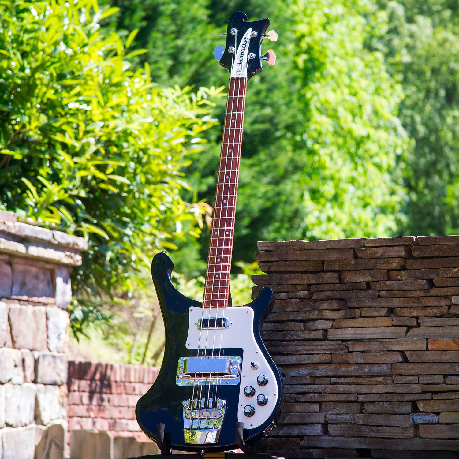 2015 Rickenbacker 4003S outside
