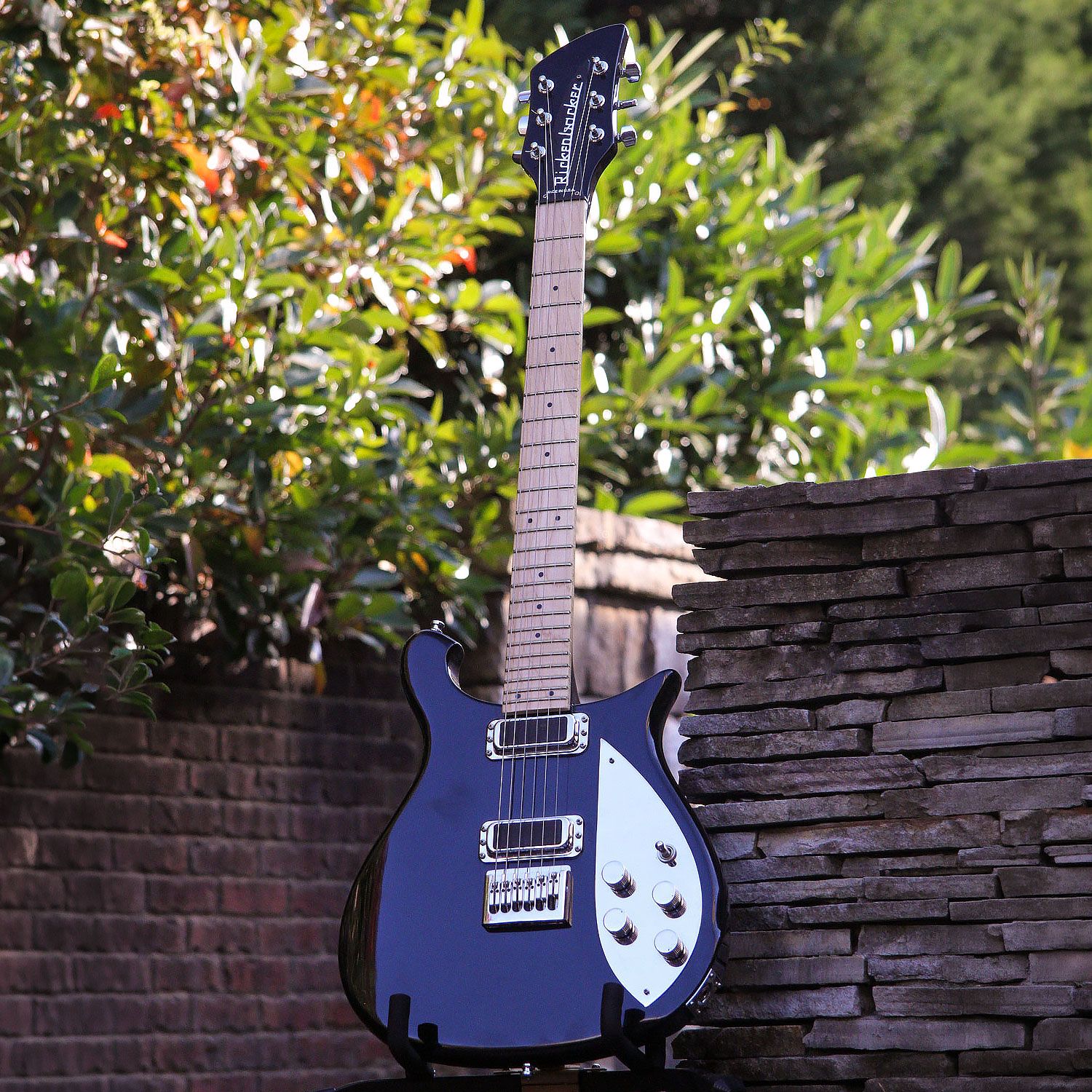 2000 Rickenbacker 650C