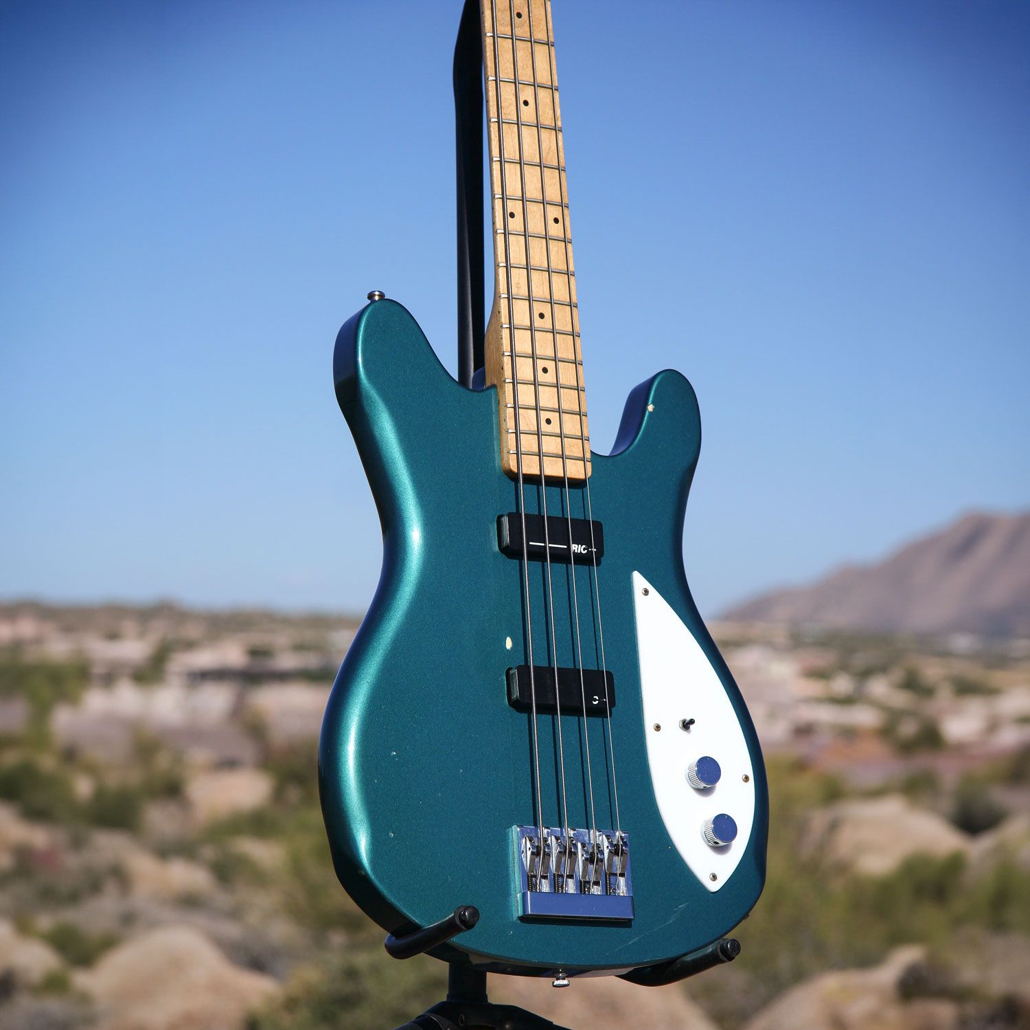 1993 Rickenbacker 2020 body