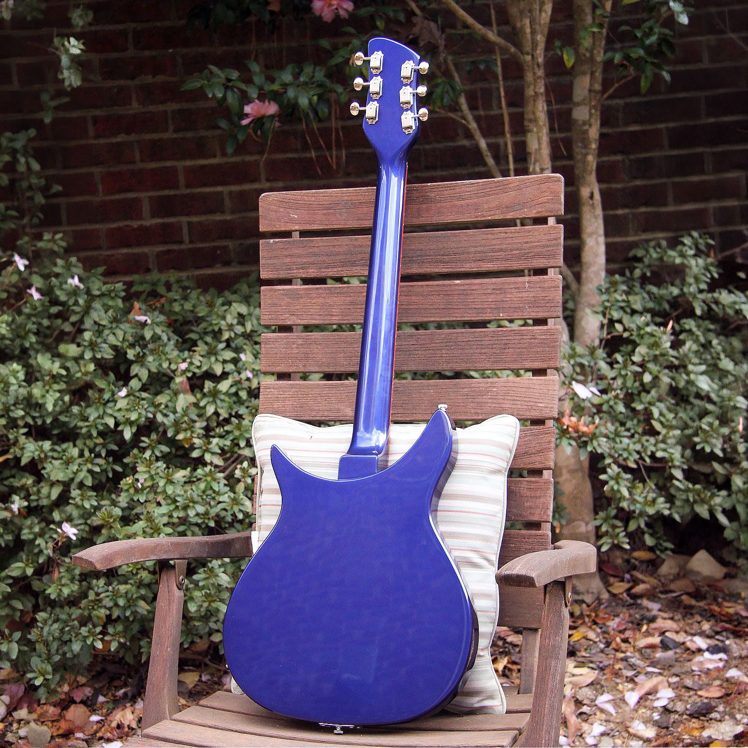 2009 Rickenbacker 350V63 back