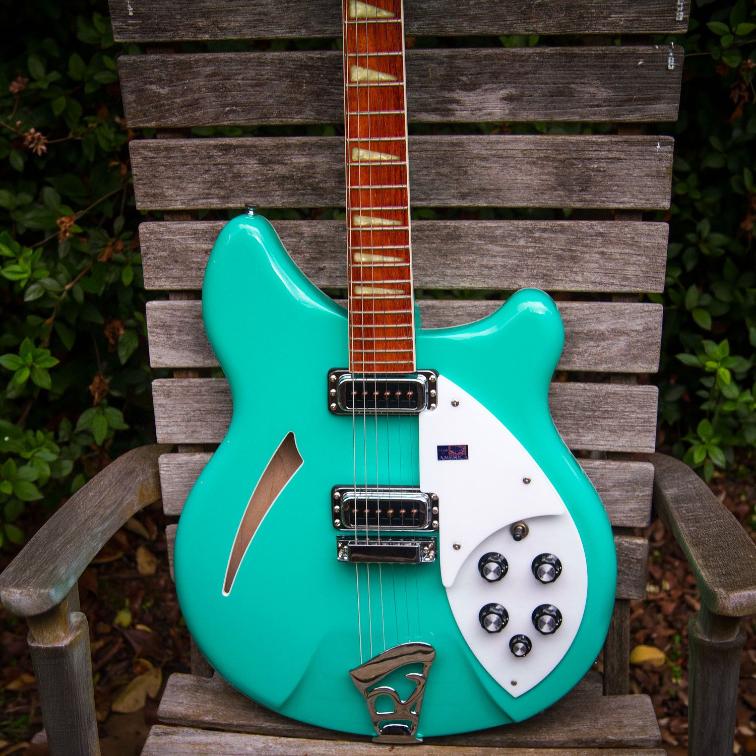 2001 Rickenbacker 360 body