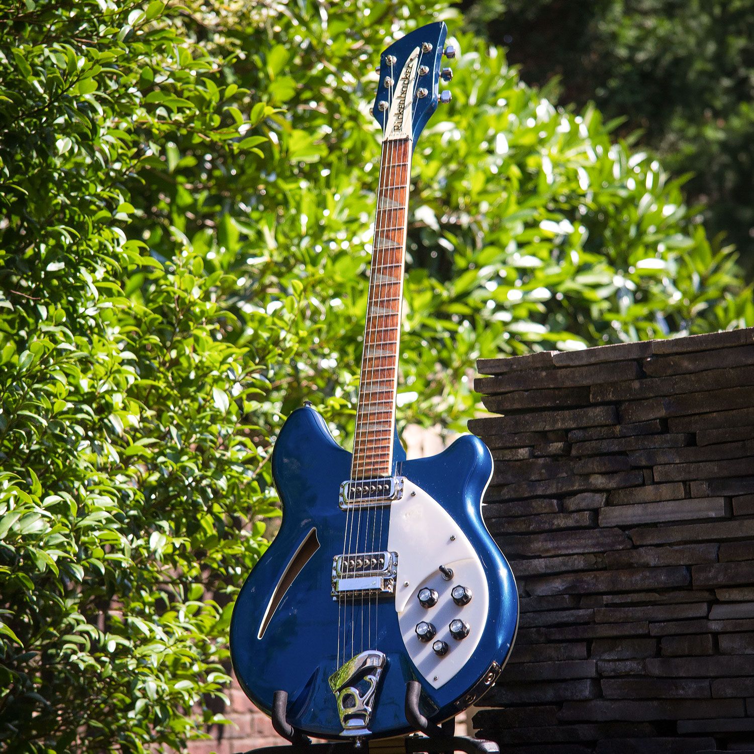 2006 Rickenbacker 360