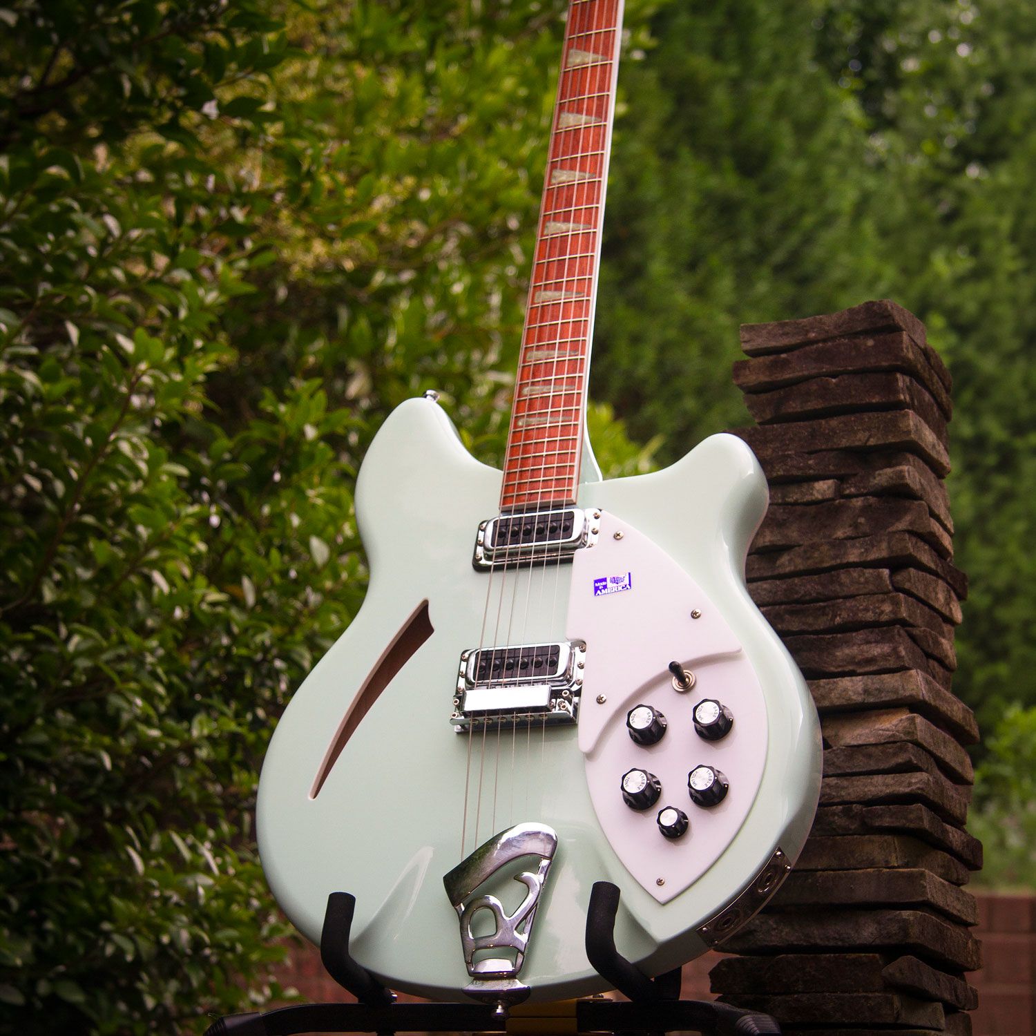 2002 Rickenbacker 360