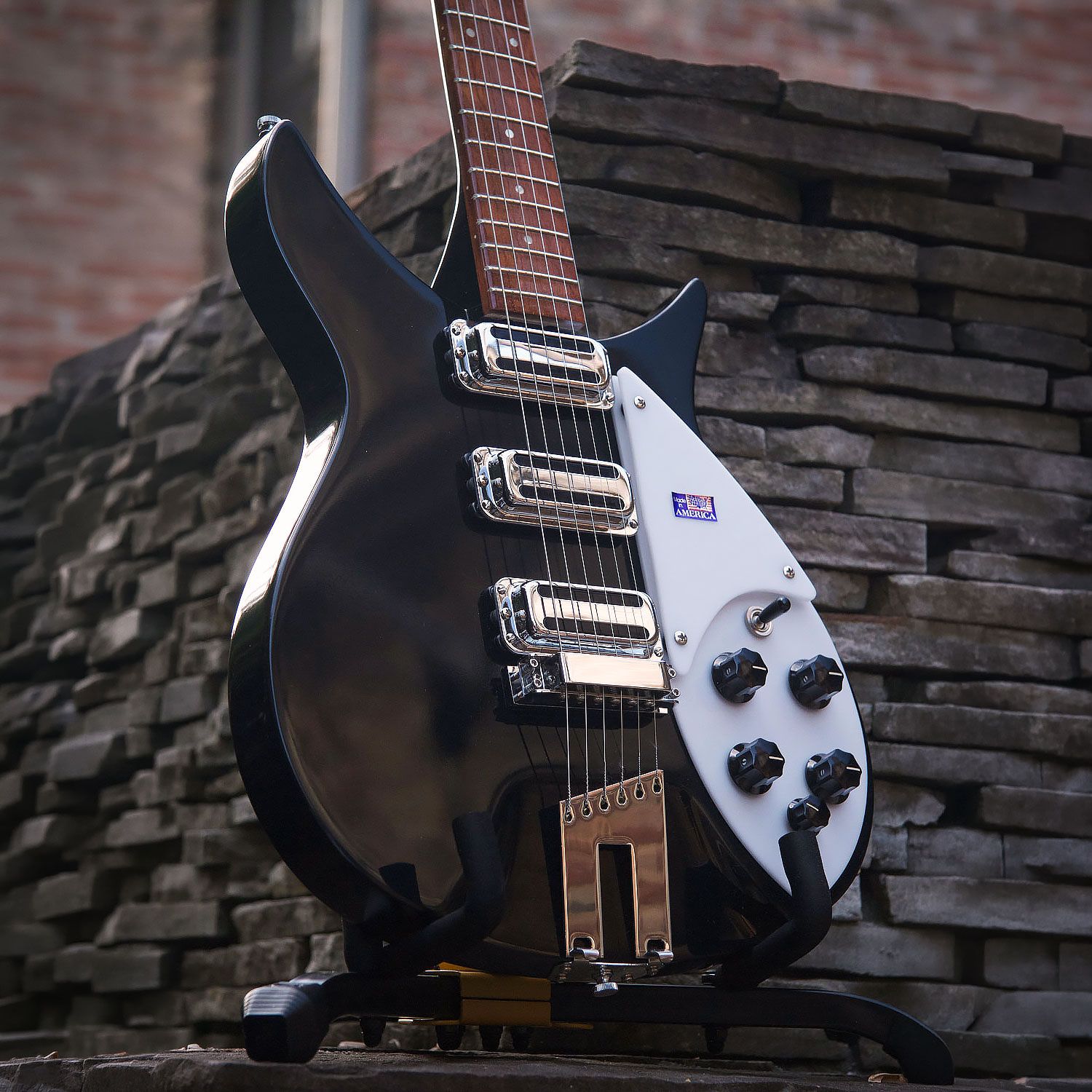 2006 Rickenbacker 350V63 body