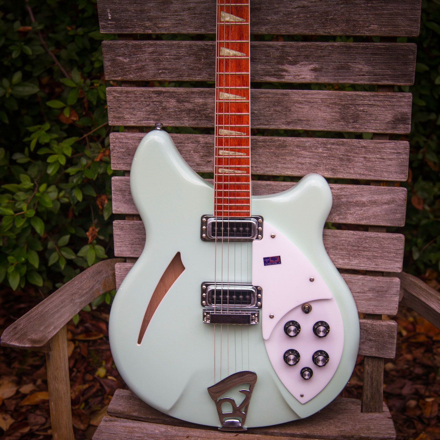 2002 Rickenbacker 360 body
