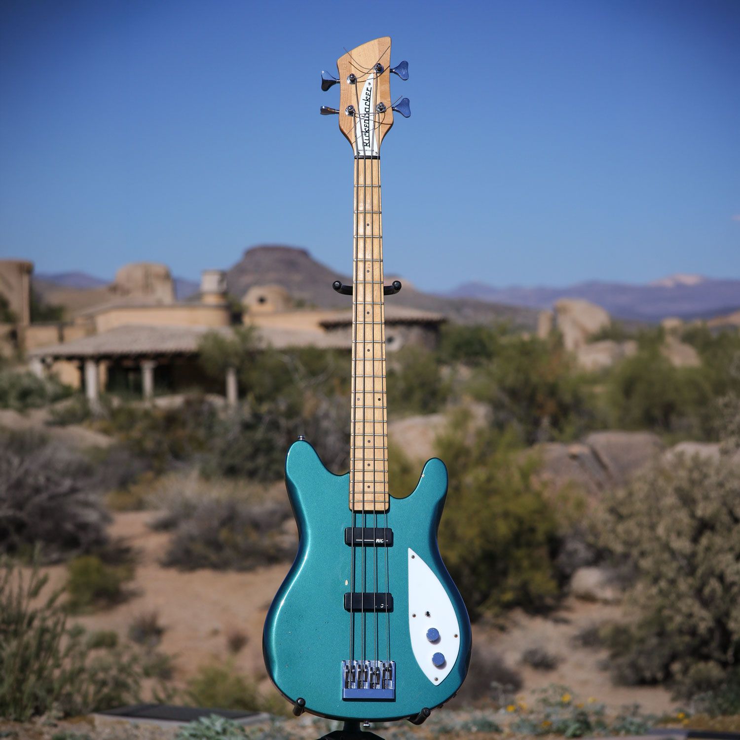 1993 Rickenbacker 2020