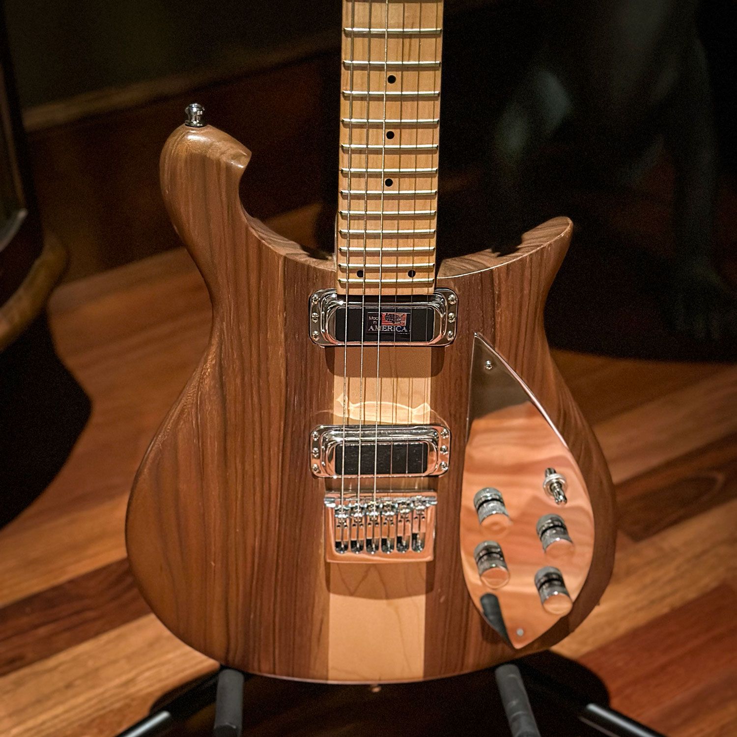 2007 Rickenbacker 650D body