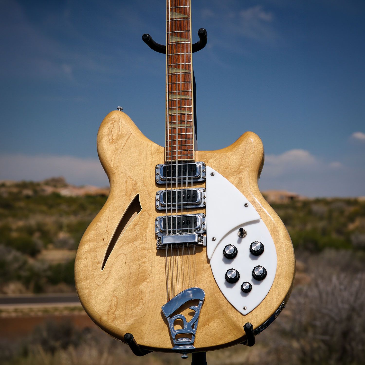 1983 Rickenbacker 370/12 body