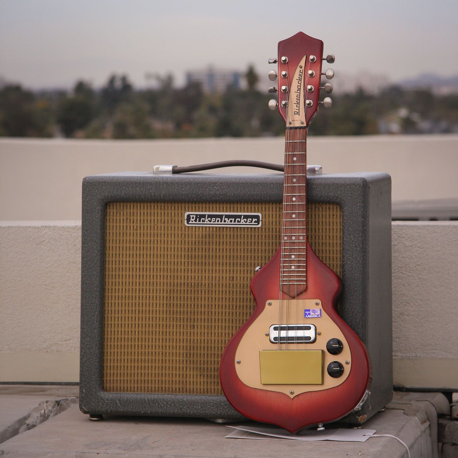 1997 Rickenbacker 5002V58