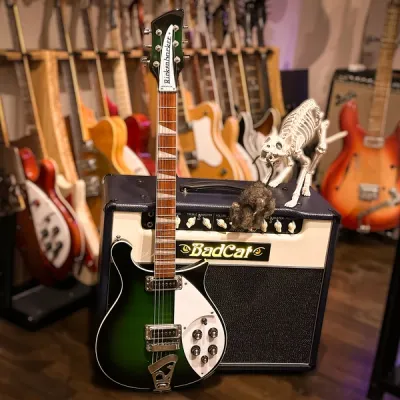 2019 Rickenbacker 620