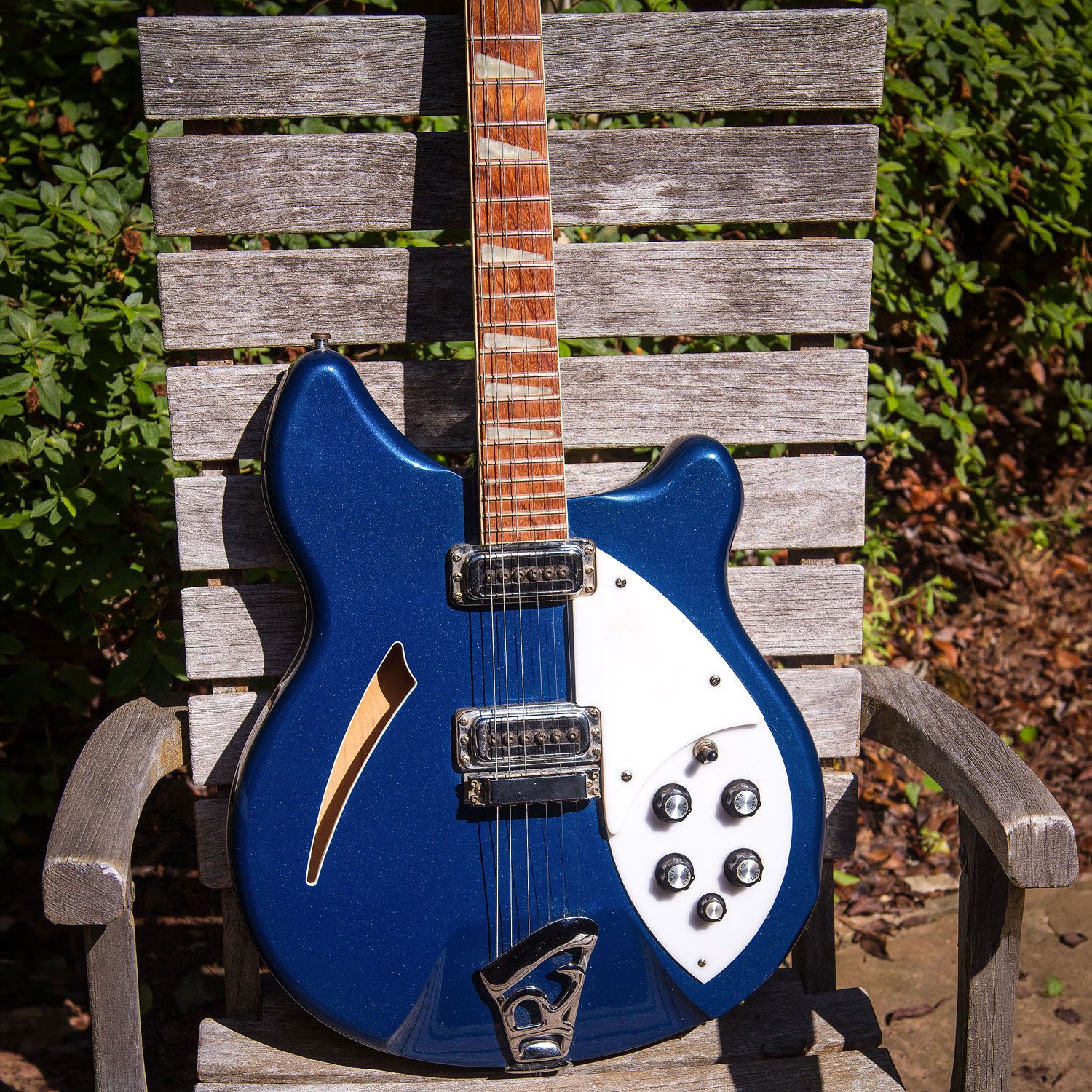 2006 Rickenbacker 360 body