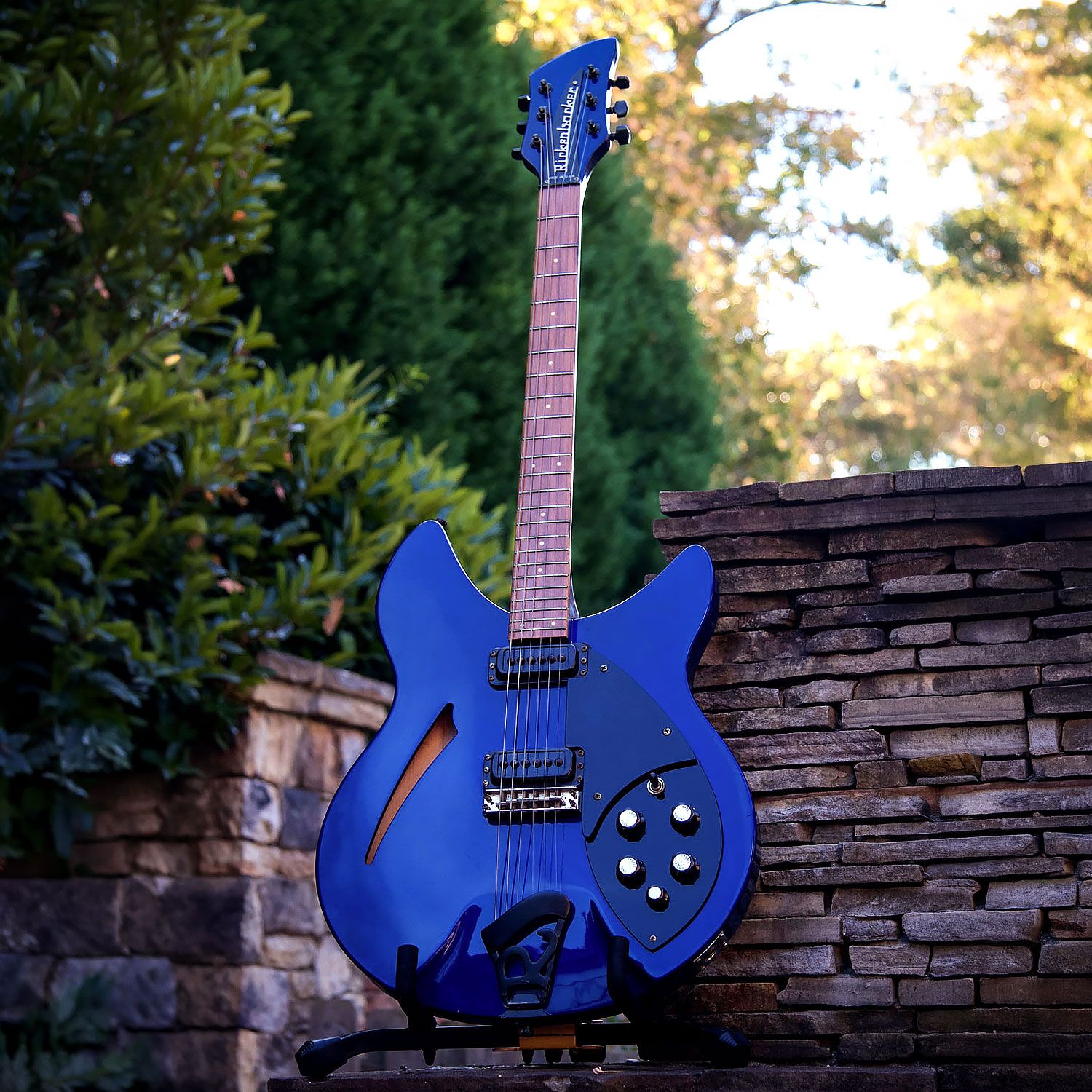 1989 Rickenbacker 330