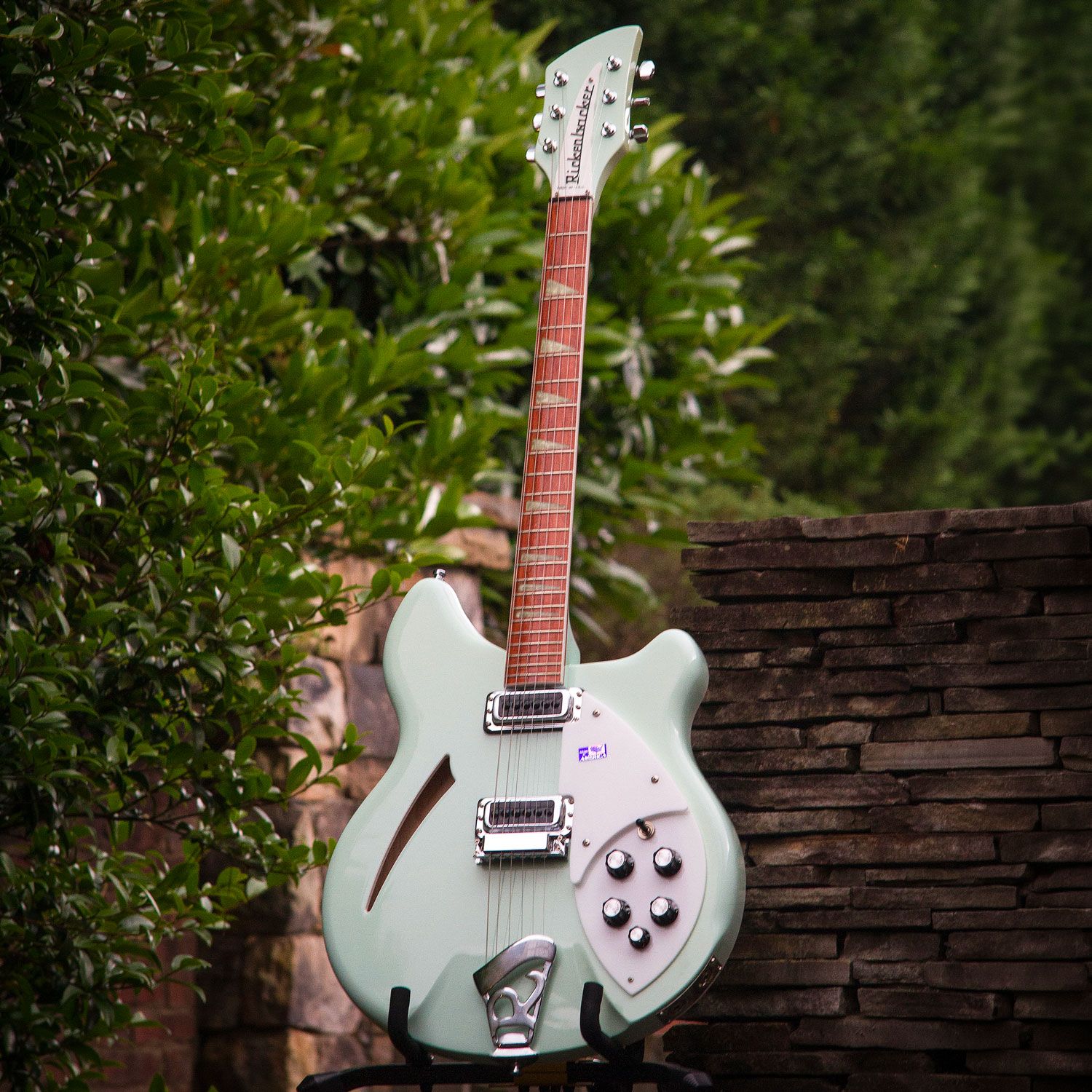 2002 Rickenbacker 360