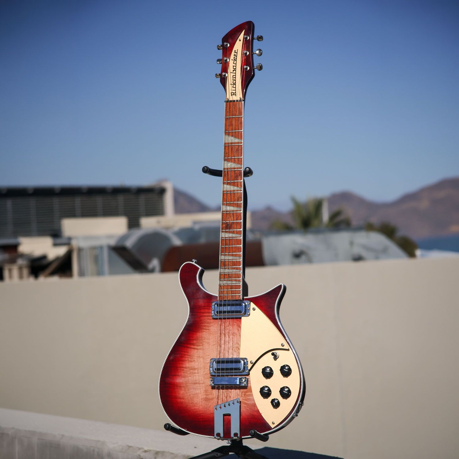 1999 Rickenbacker 660