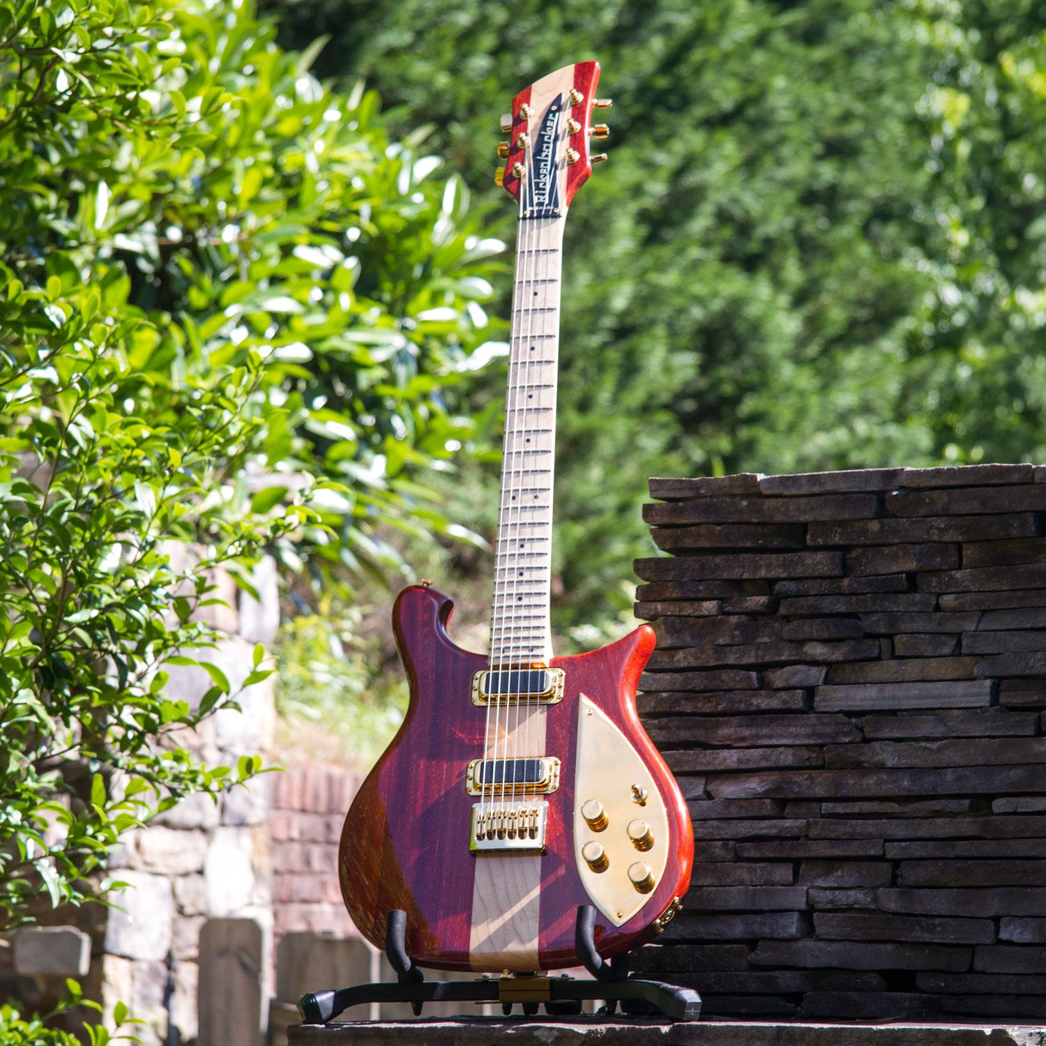 2007 Rickenbacker 650E