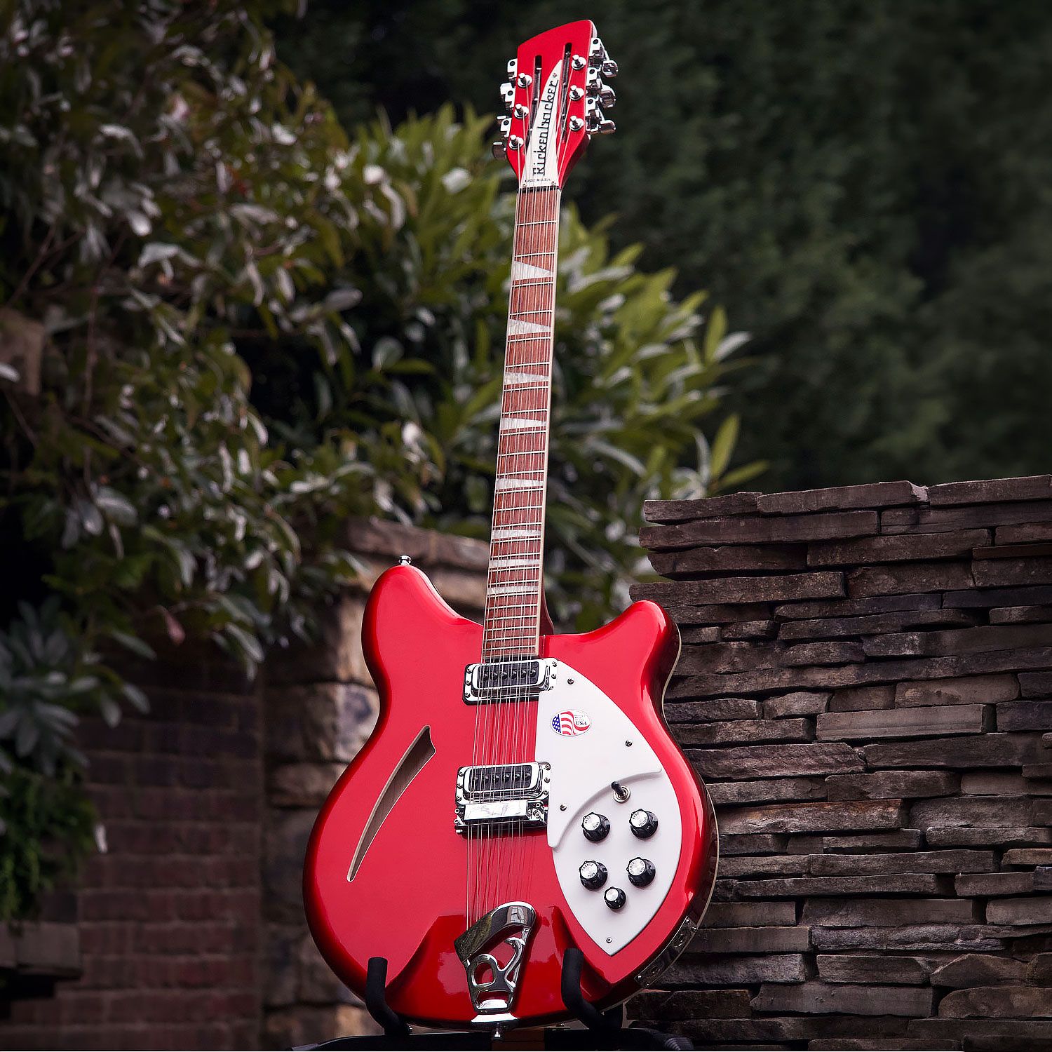 2012 Rickenbacker 360/12