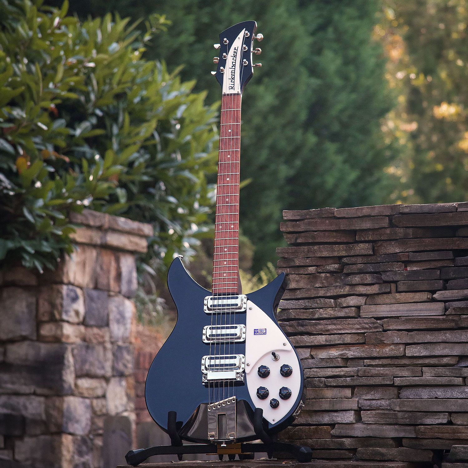 2006 Rickenbacker 350V63
