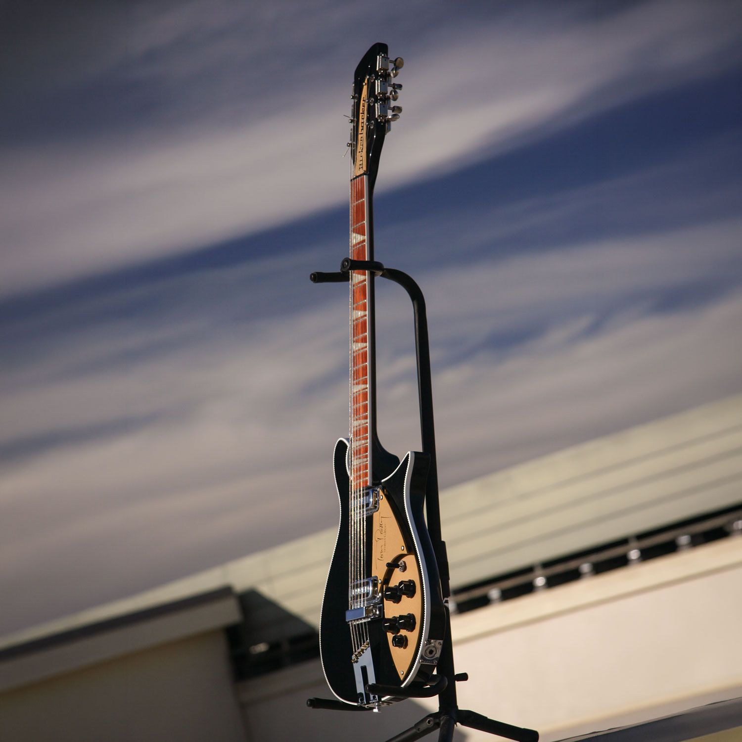 1997 Rickenbacker 660/12TP