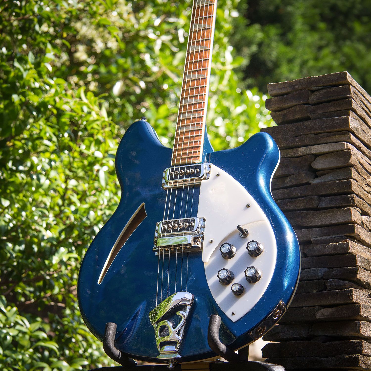 2006 Rickenbacker 360 body