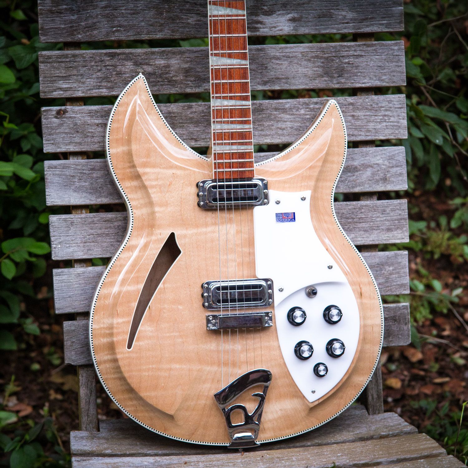 2007 Rickenbacker 381v69 body