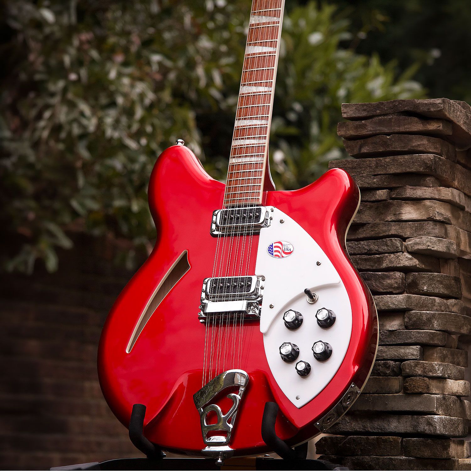 2012 Rickenbacker 360/12 body