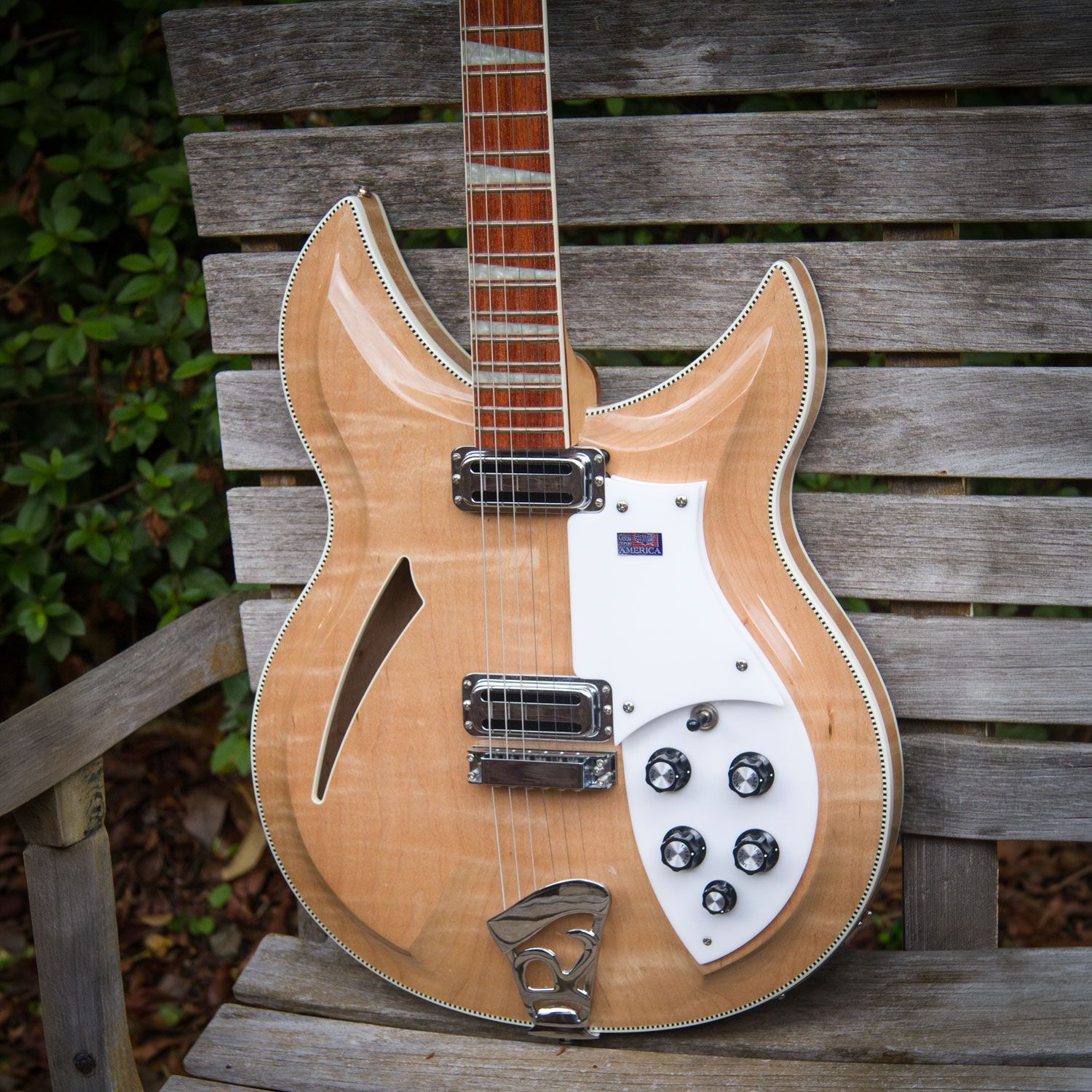 2007 Rickenbacker 381v69 body