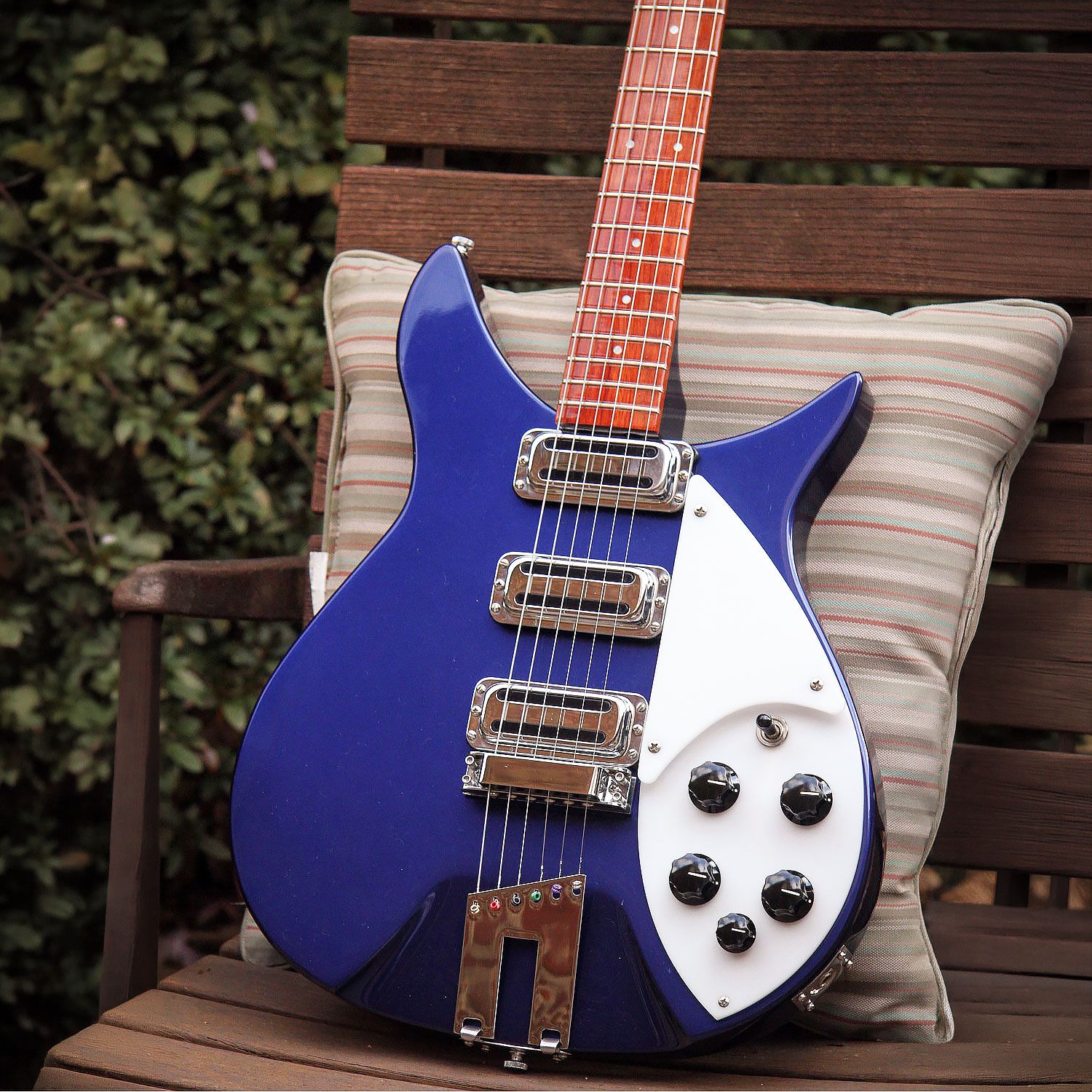 2009 Rickenbacker 350V63 body