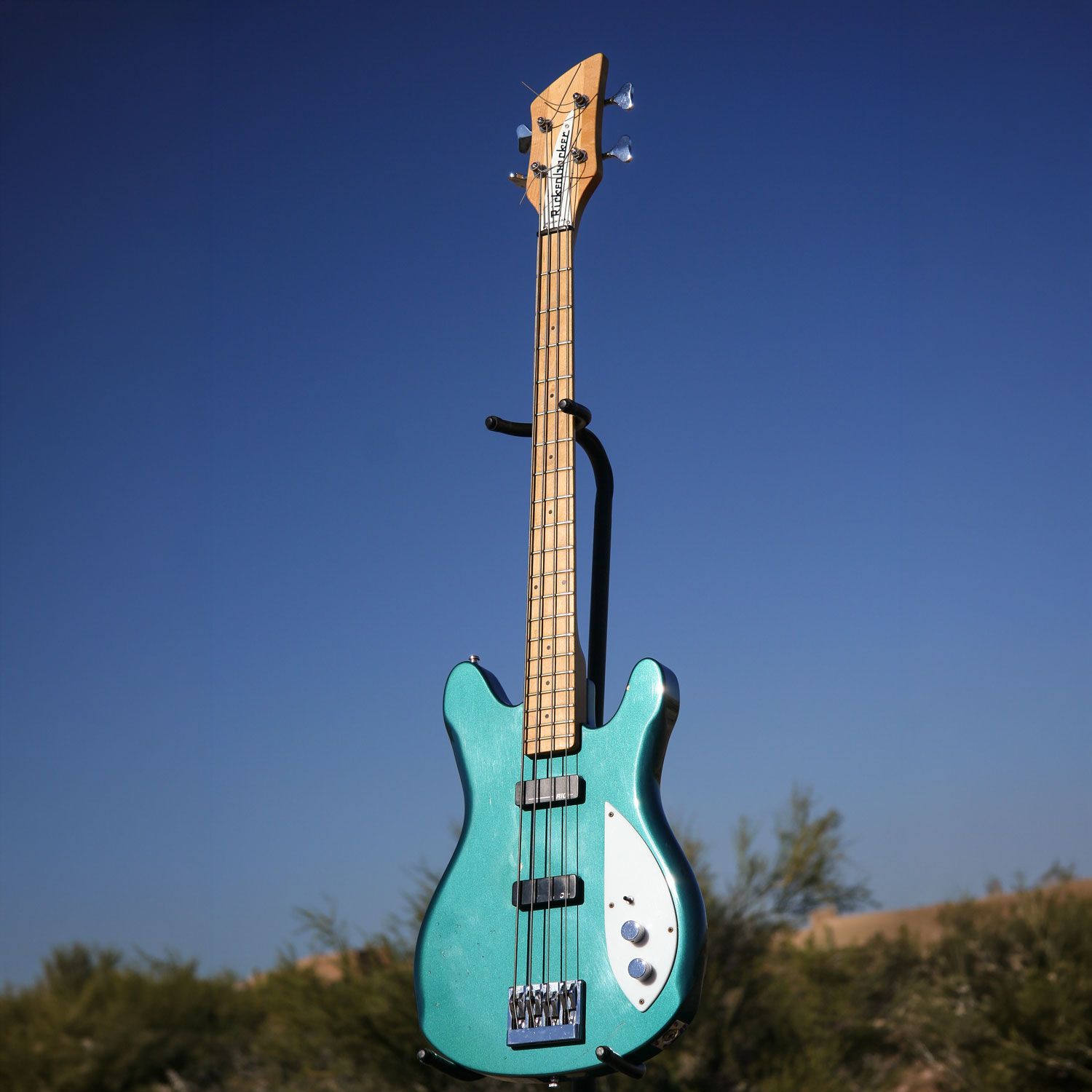 1993 Rickenbacker 2020