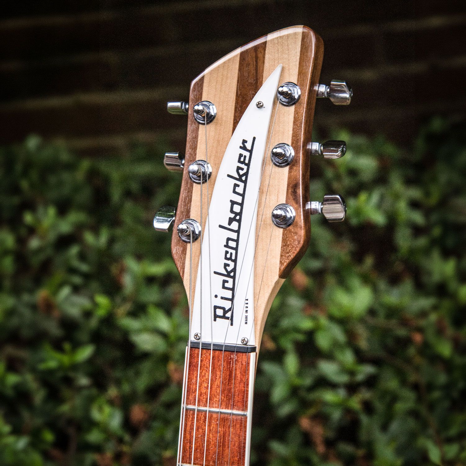 2007 Rickenbacker 381v69 headstock