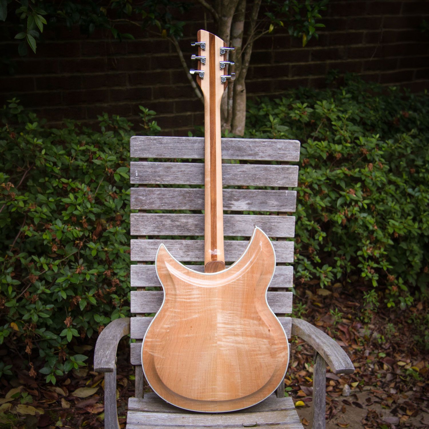 2007 Rickenbacker 381v69 back