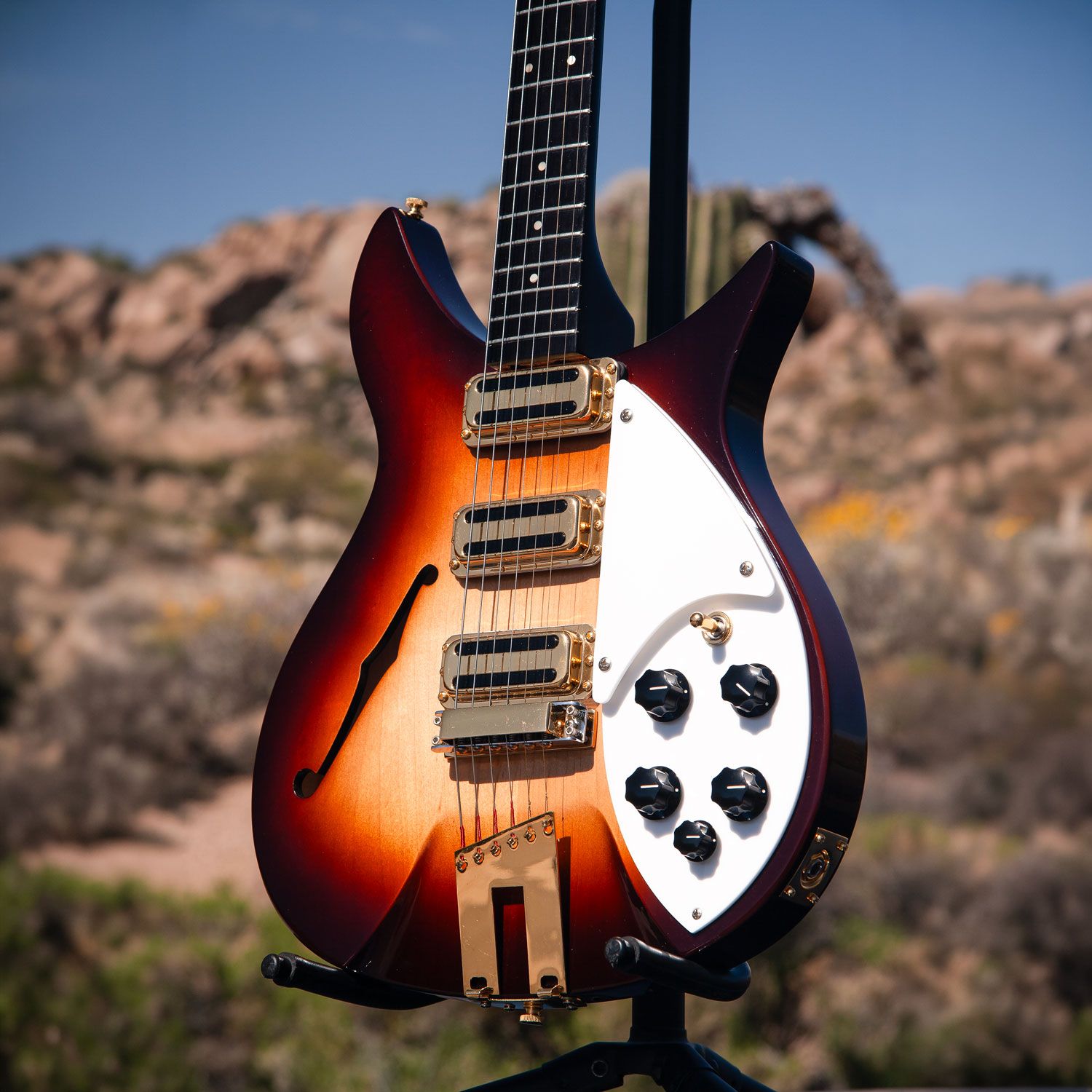 2004 Rickenbacker 350V63 body