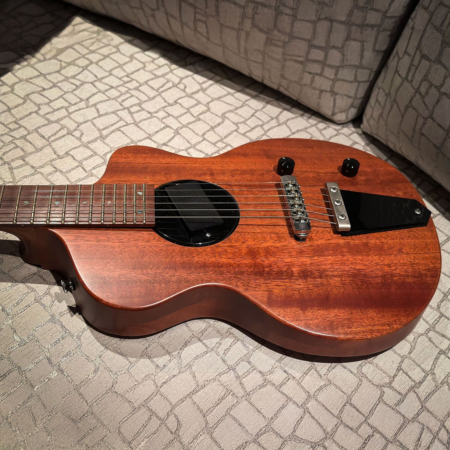 Rick Turner Model 1 Special side