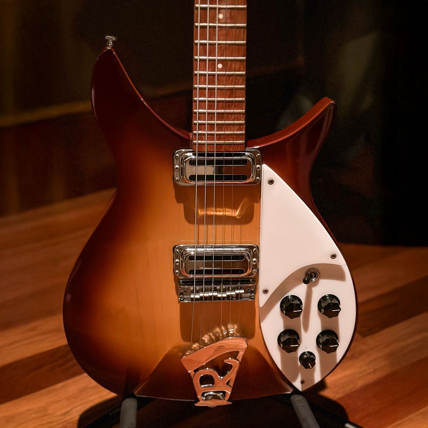 2009 Rickenbacker 310c64 body
