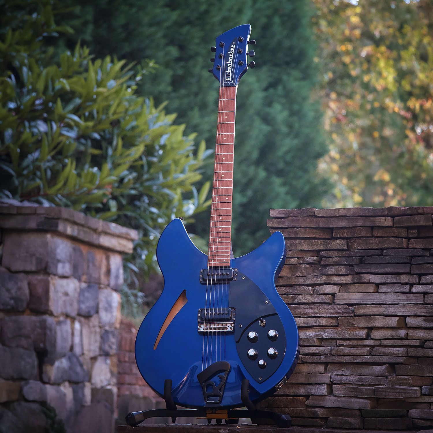 1989 Rickenbacker 330