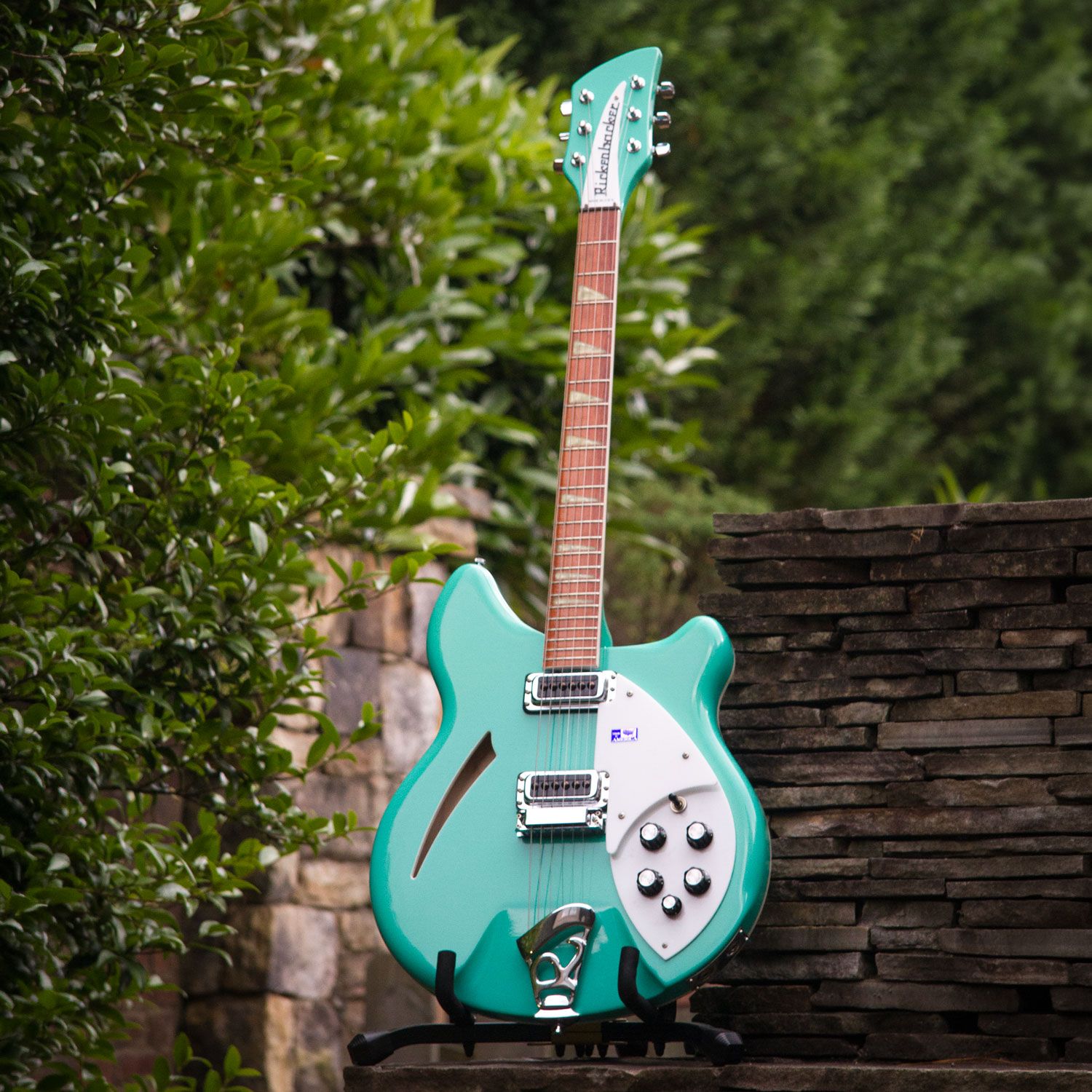 2001 Rickenbacker 360