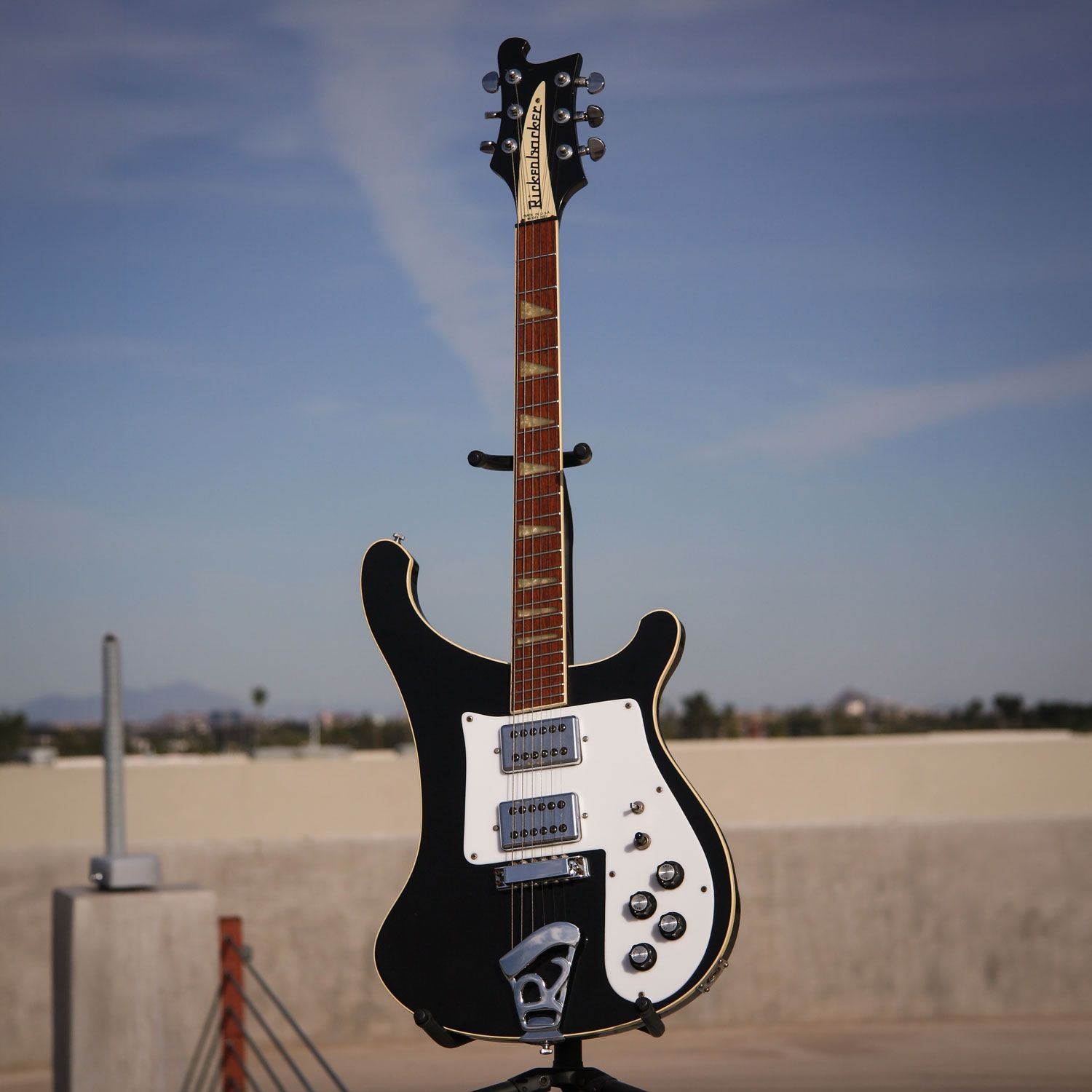 1975 Rickenbacker 481