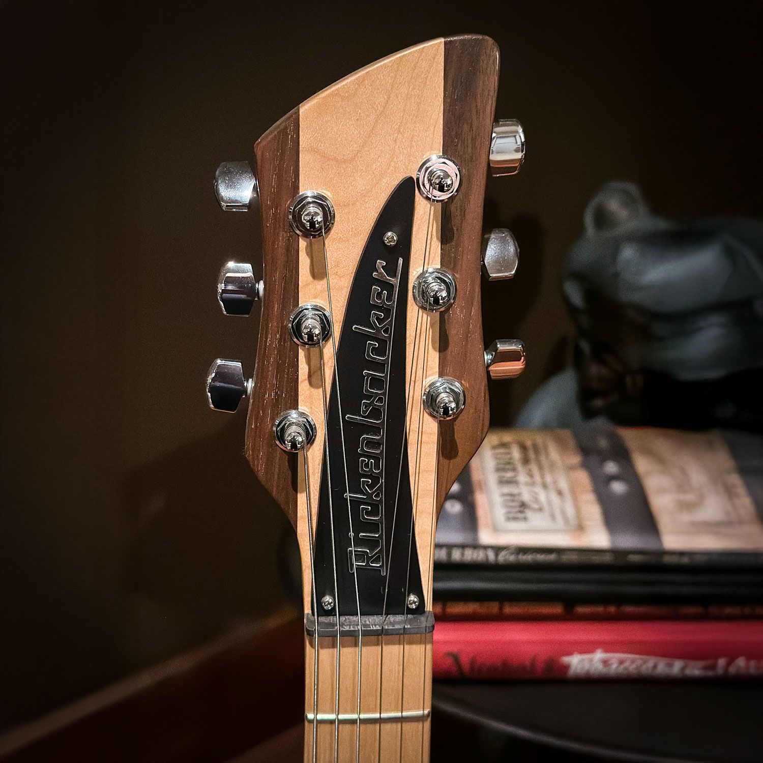 2007 Rickenbacker 650D headstock