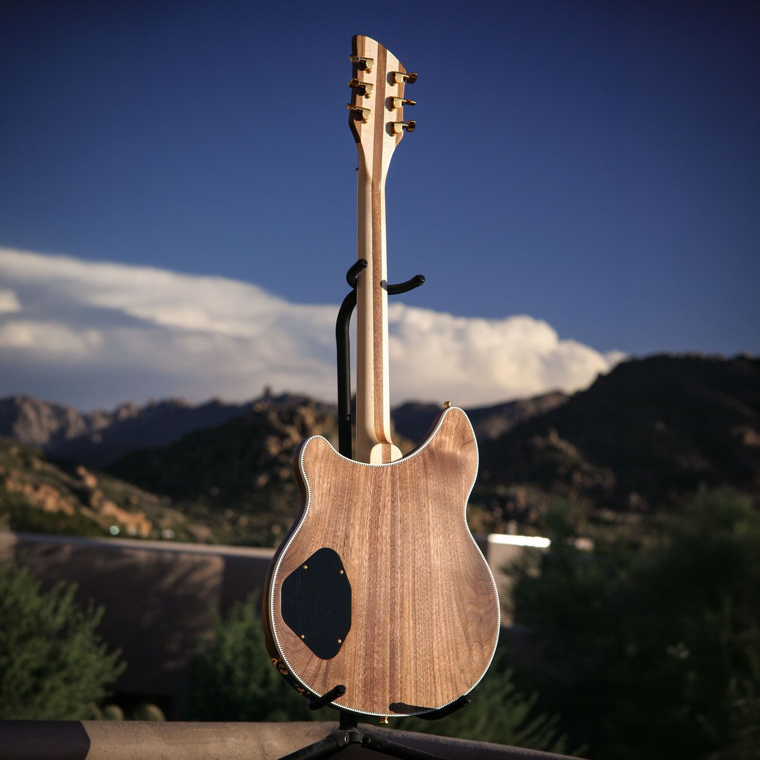 2003 Rickenbacker 380L PZ back