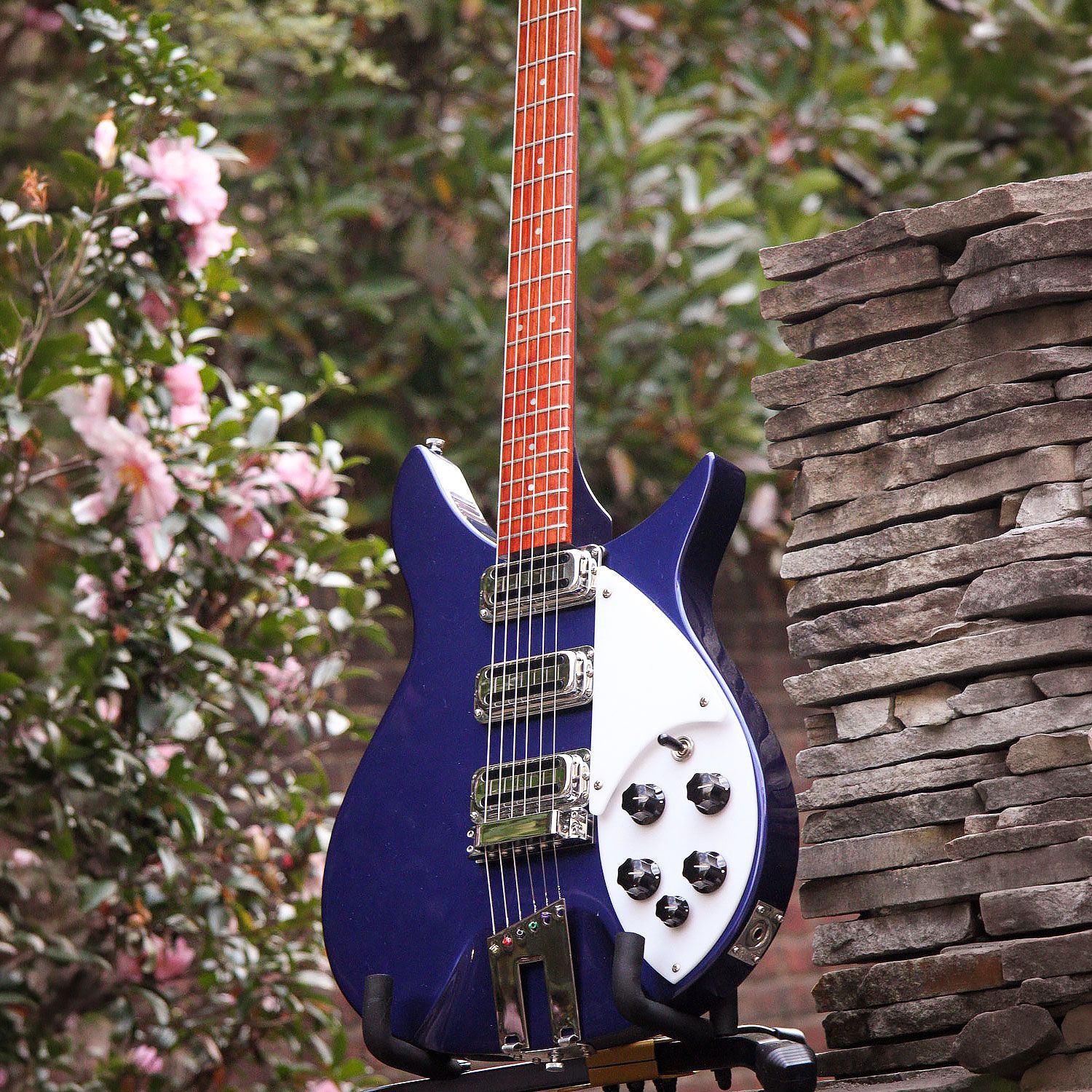 2009 Rickenbacker 350V63 body