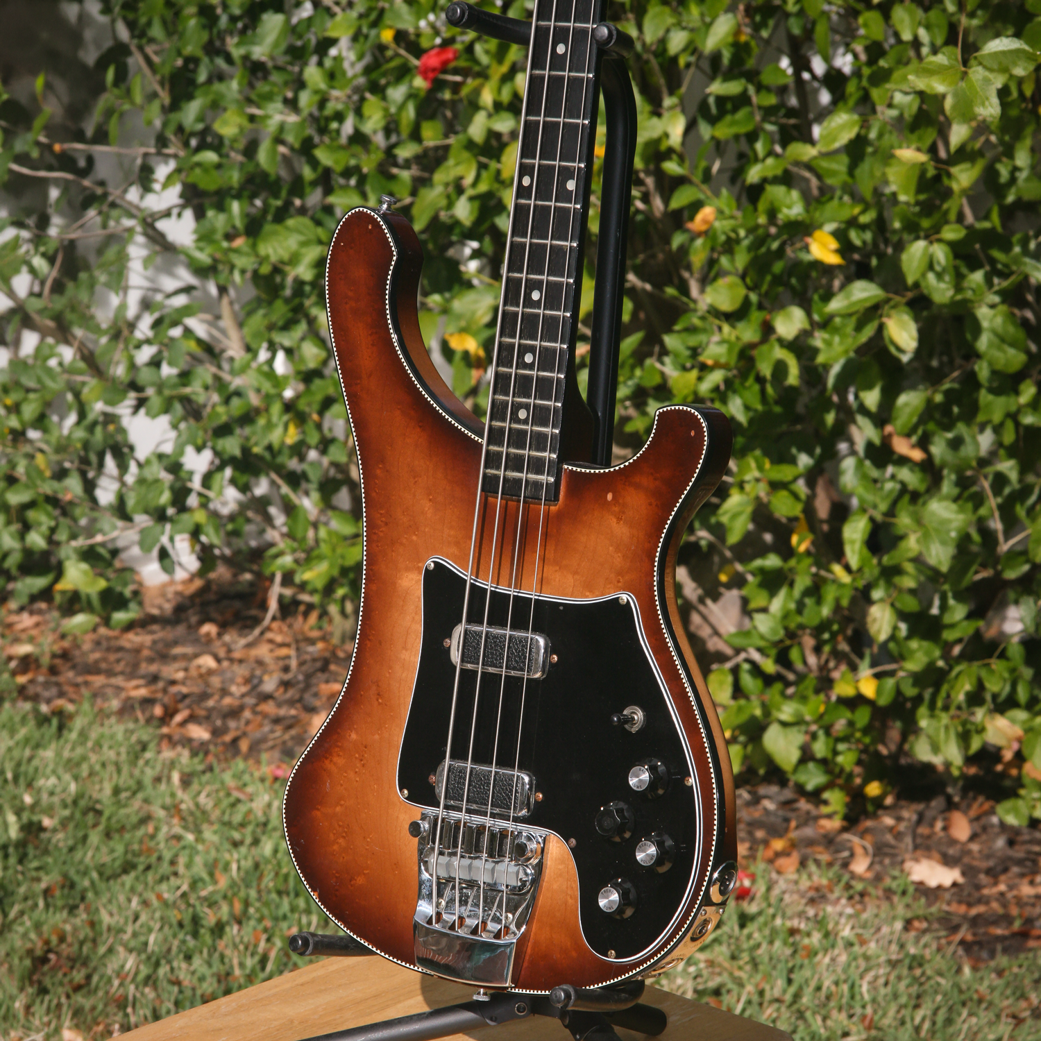 1981 Rickenbacker 4002 body