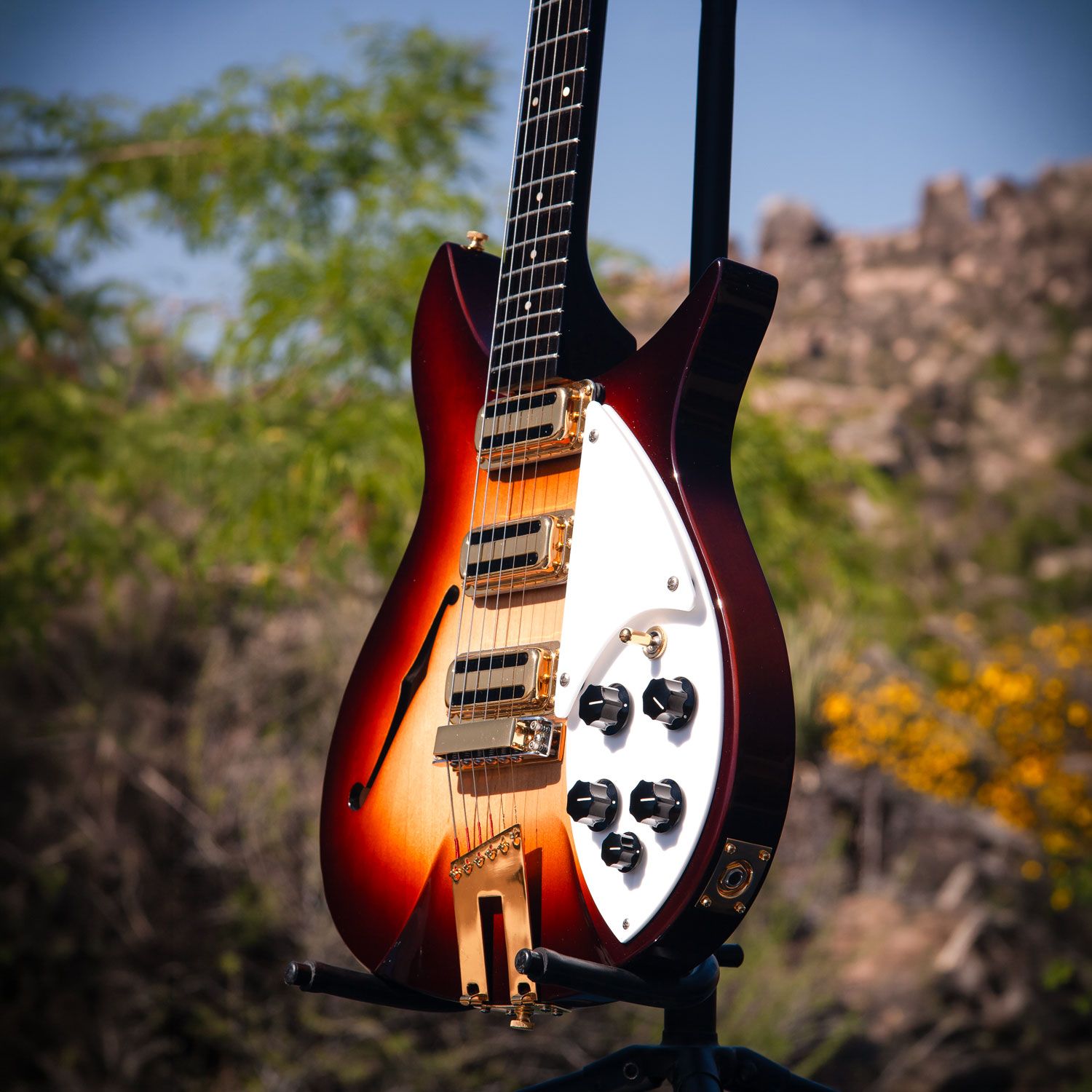 2004 Rickenbacker 350V63 body