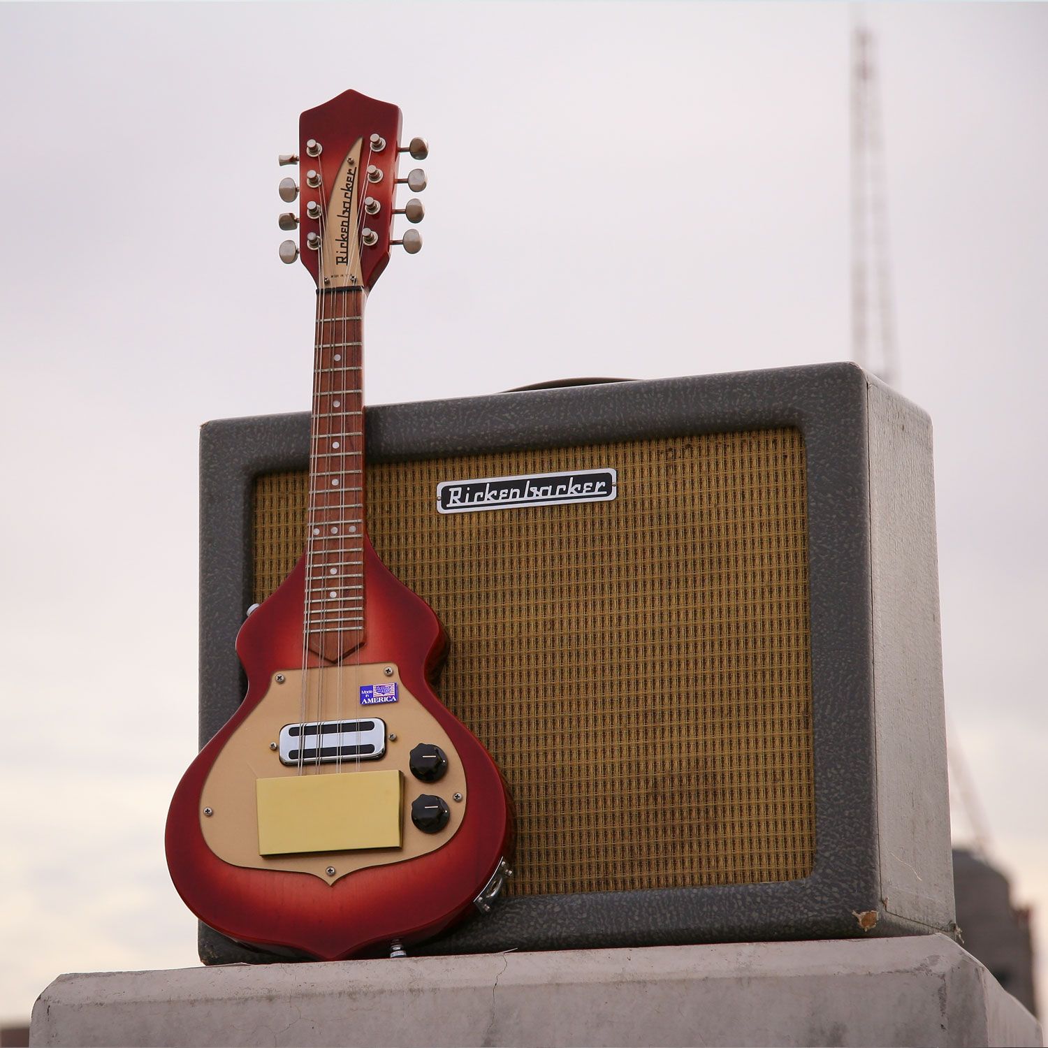 1997 Rickenbacker 5002V58