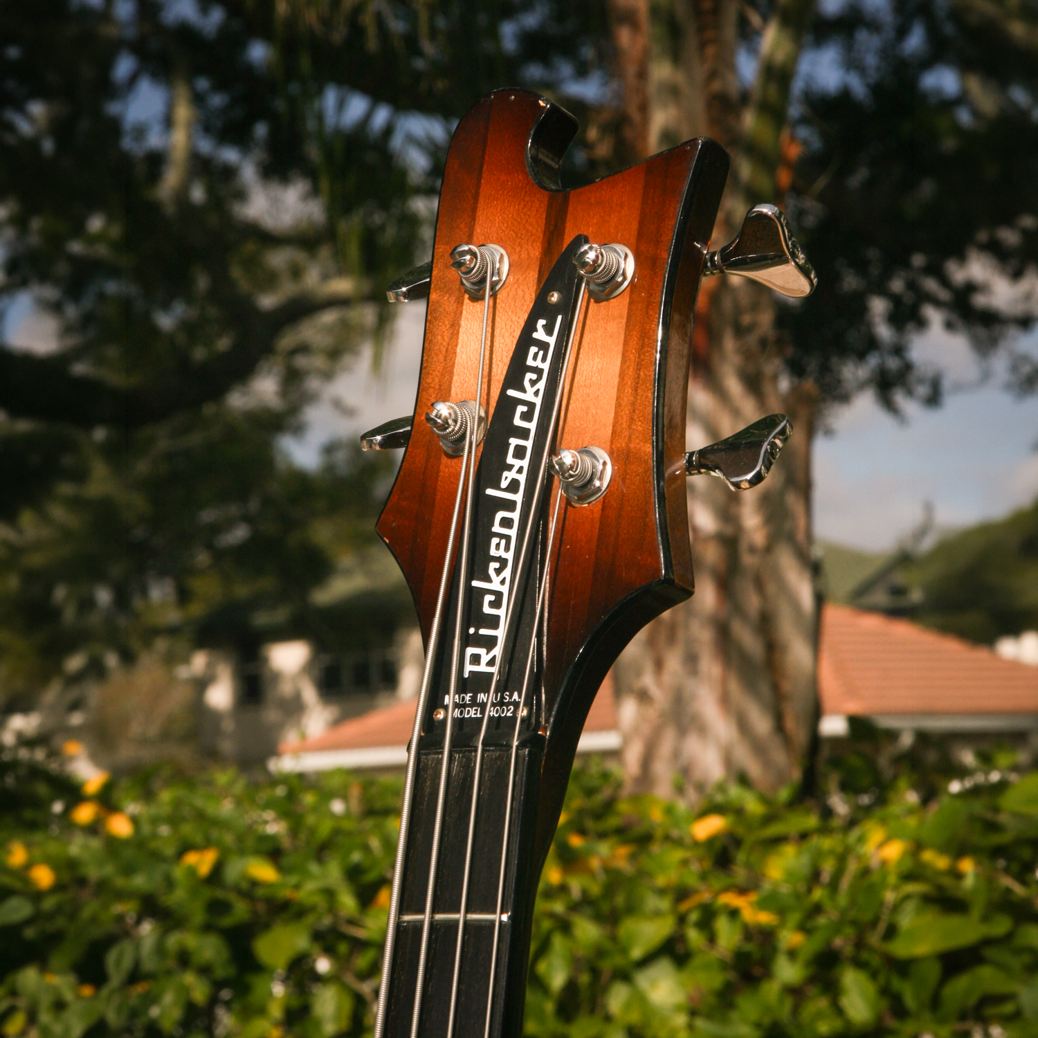 1981 Rickenbacker 4002 headstock
