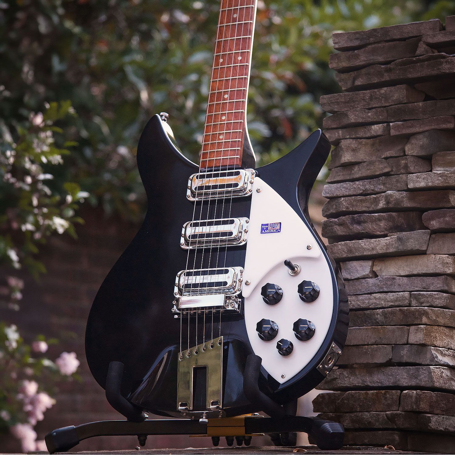 2006 Rickenbacker 350V63 body