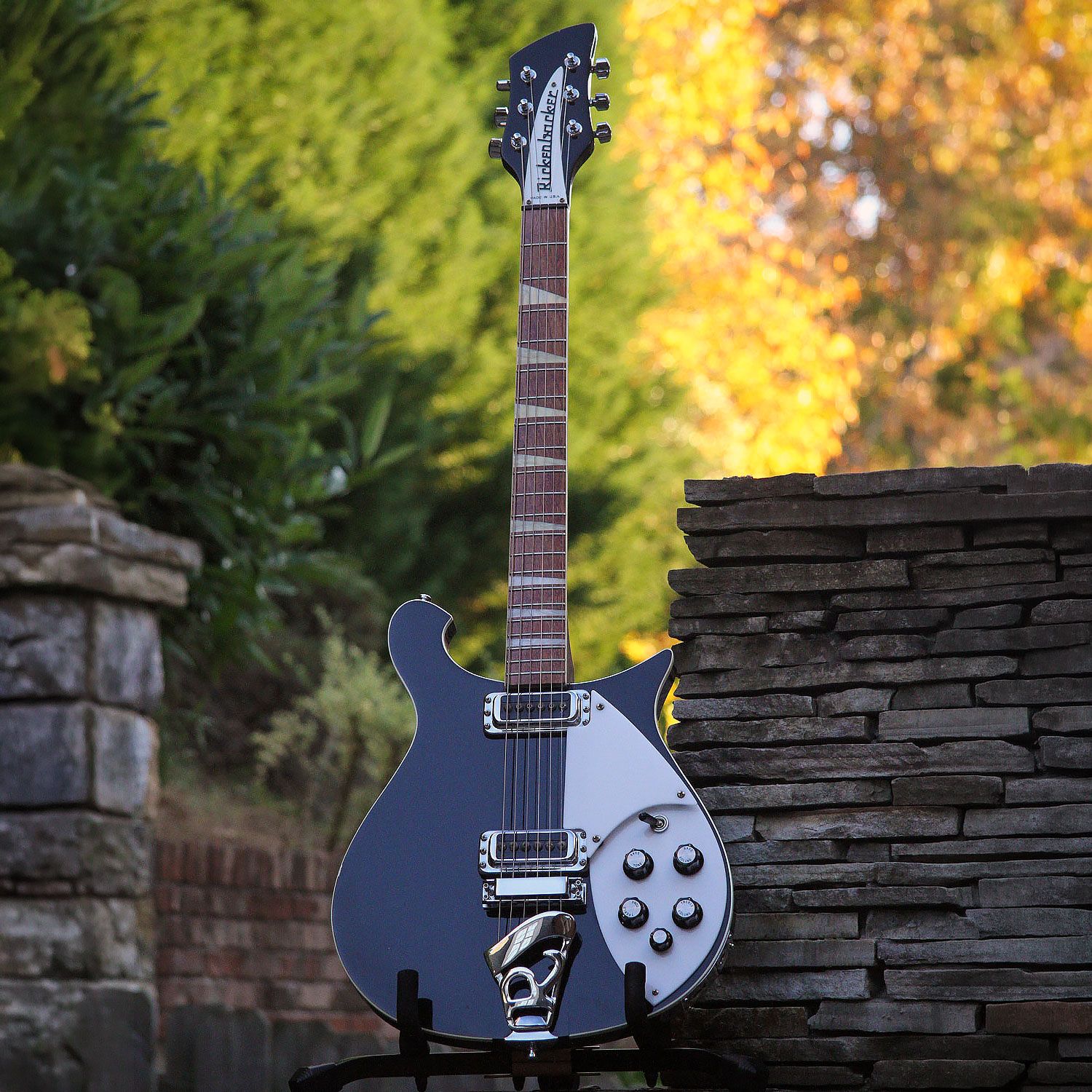 2008 Rickenbacker 620