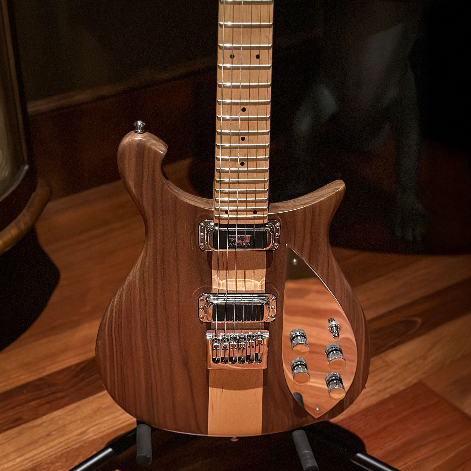 2007 Rickenbacker 650D body