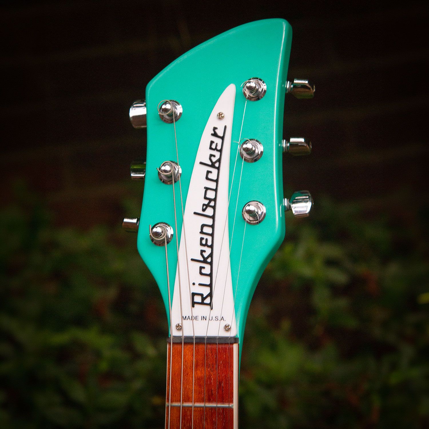 2001 Rickenbacker 360 headstock